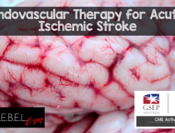 Therapy Note Writing Software Streamline Your Practice