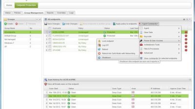 Endpoint Security Suites Safeguard Your Digital Realm