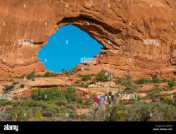 window world of phoenix reviews Discover Quality and Comfort